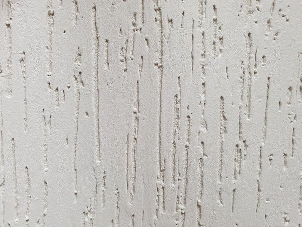 Короед кварц