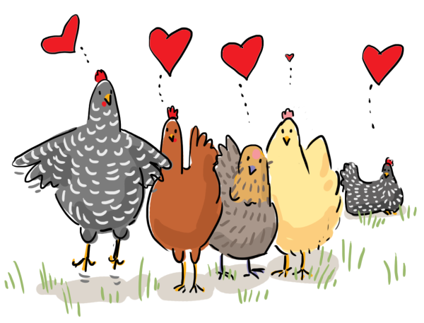 Курица рисунок