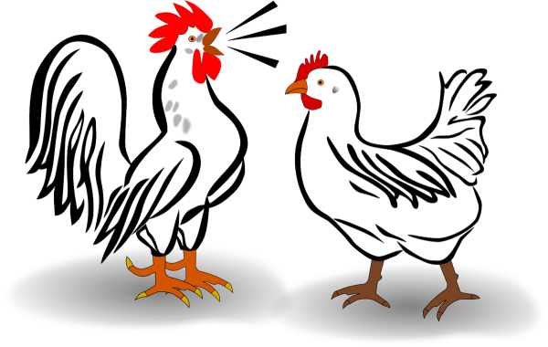 Курочка и петушок рисунок