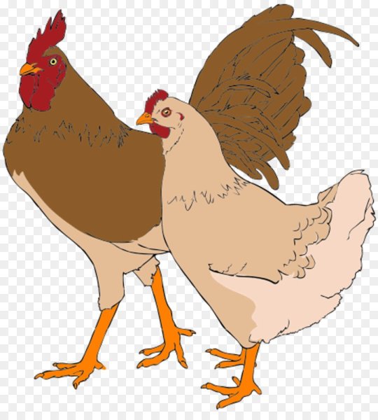 Курица и петух