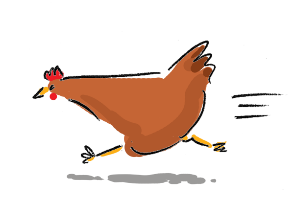 Курица бежит гиф