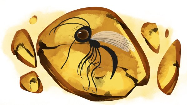 Рисунки про янтарь детские