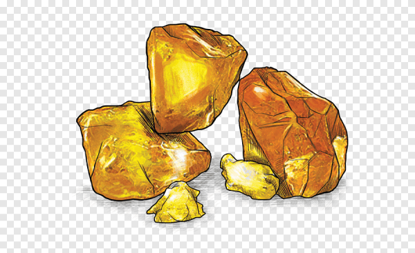 Янтарь вектор