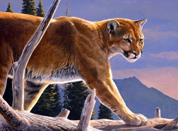 Животный мир. Художник al Agnew