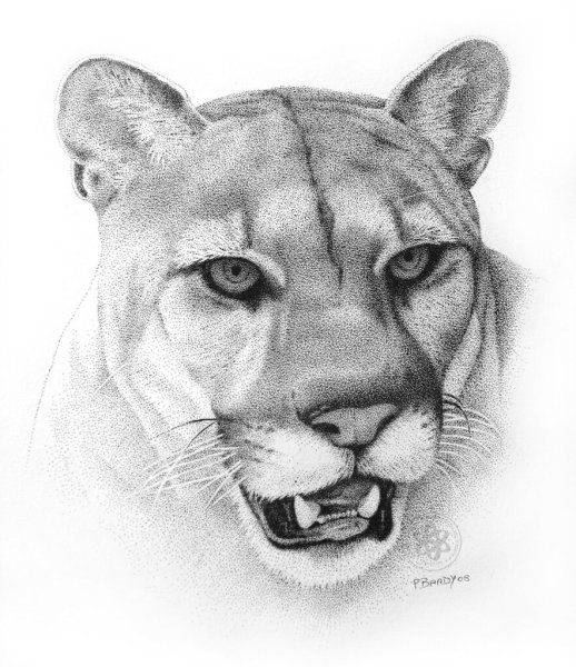 Тату Пума эскизы