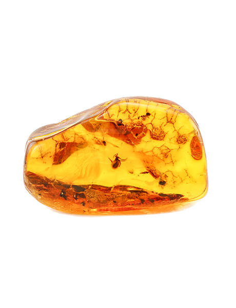 Янтарь окаменевшая смола