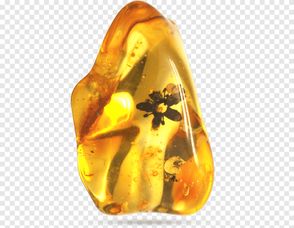 Амбра Янтарная