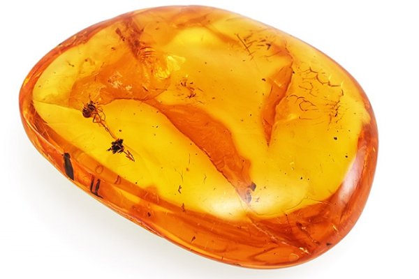 Камчатский янтарь