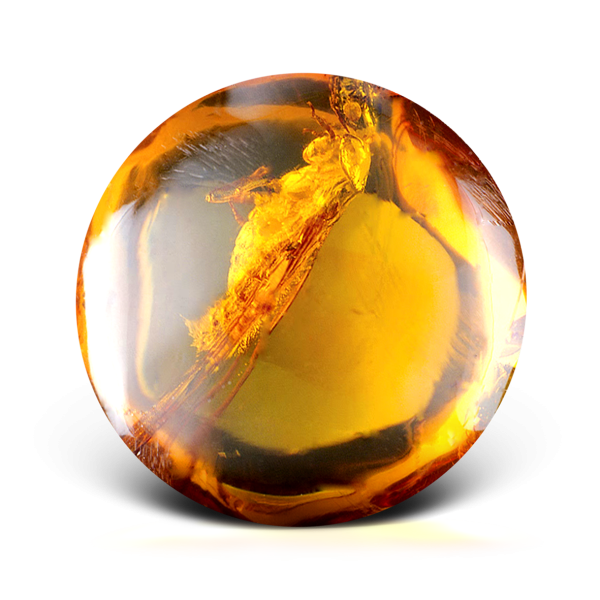 Янтарь камень