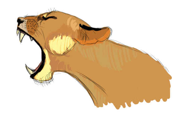 Пума лёгкий арт