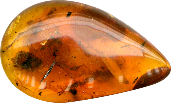 Прозрачный янтарь