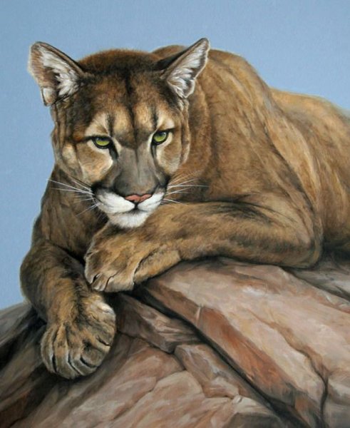 Художник Роберт Даллет львы