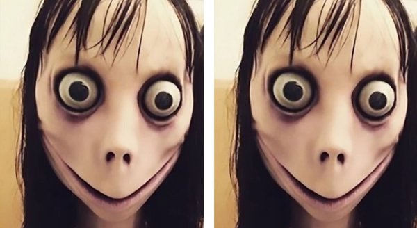 Ракосель Momo