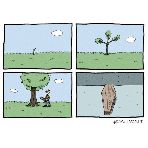 Комикс 4 картинки