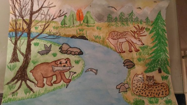 Мир заповедной природы России