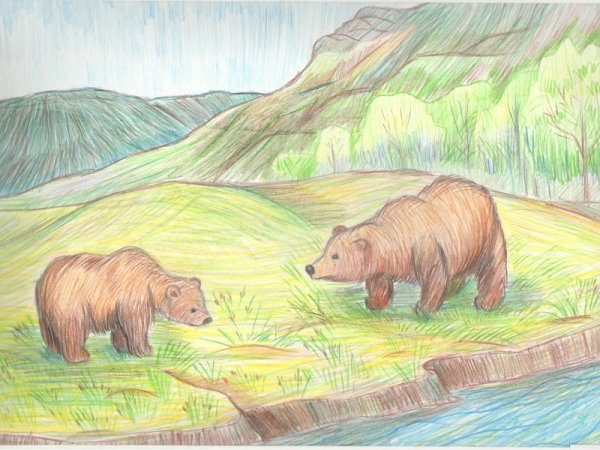 Рисунки на тему заповедники России