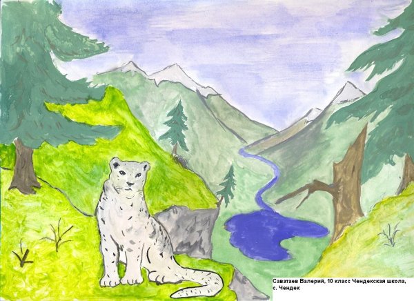 Рисование на тему заповедники