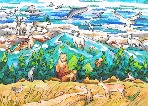 Рисунок на тему заповедник