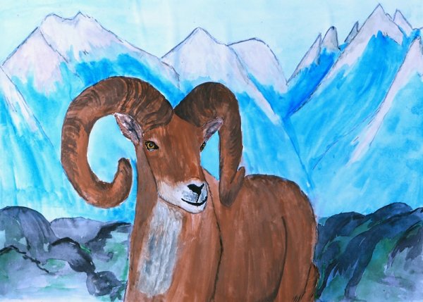 Заповедник рисунок детский