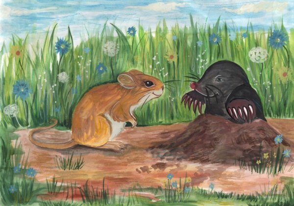 Мир заповедной природы рисунки