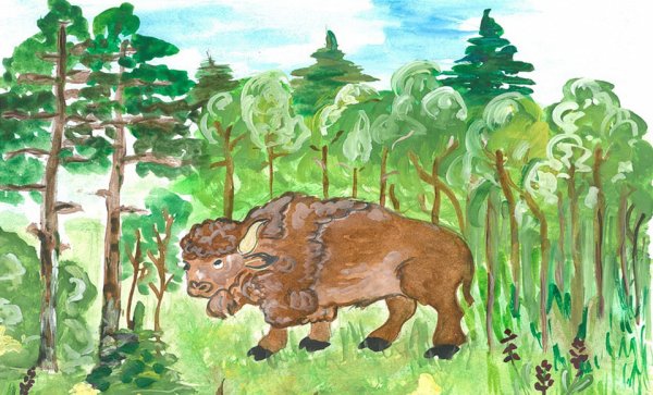 Тайга рисунок