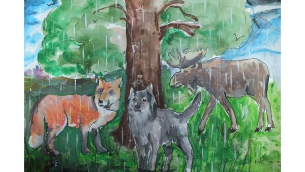 Мир заповедной природы конкурс Пенза