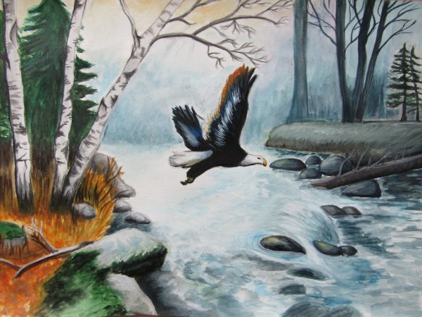 Рисунки на тему Заповедная природа