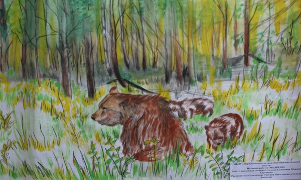 Мир заповедной природы России