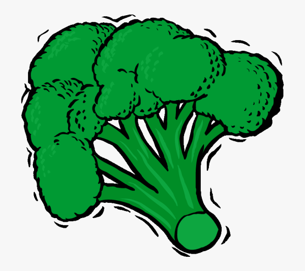 Брокколи рисунок