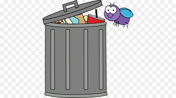 Разбитая бутылка