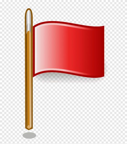 Дети с флажками