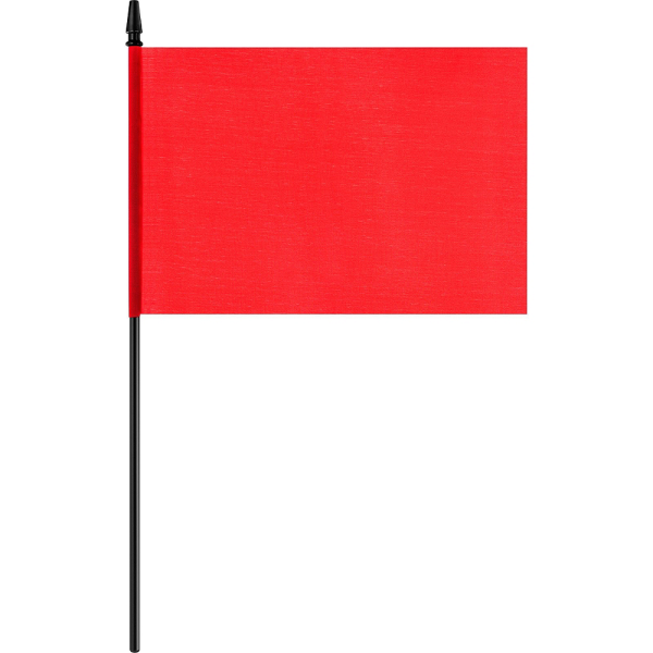 Дети с флажками