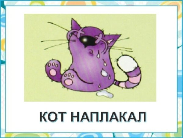 Кот наплакал