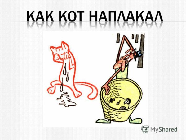 Рисунок к фразеологизму кот наплакал