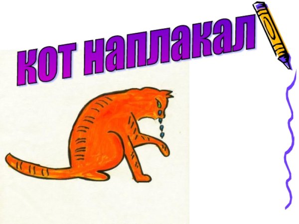 Кот наплакал фразеологизм