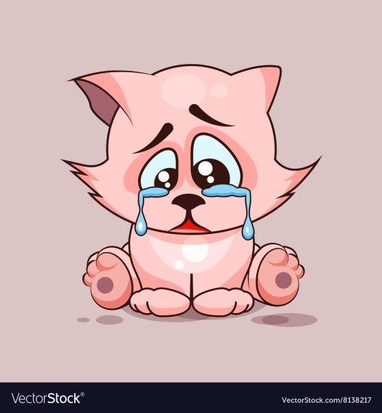 Картинка к фразеологизму кот наплакал