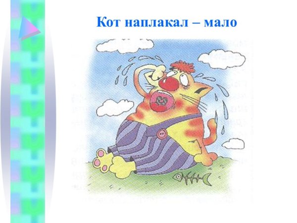 Как кот наплакал значение фразеологизма