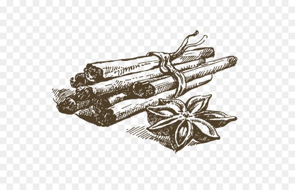 Палочки корицы вектор