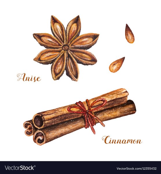 Палочки корицы акварель