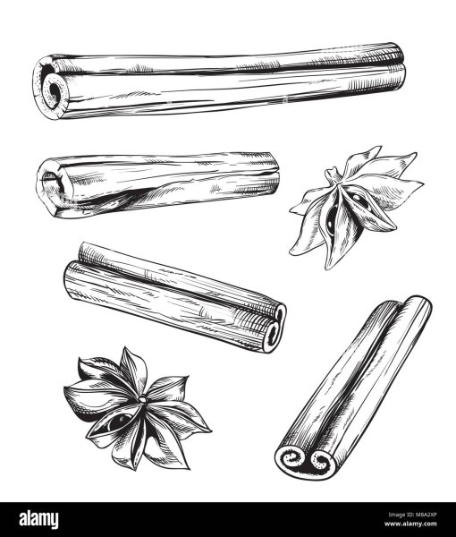 Корица акварель