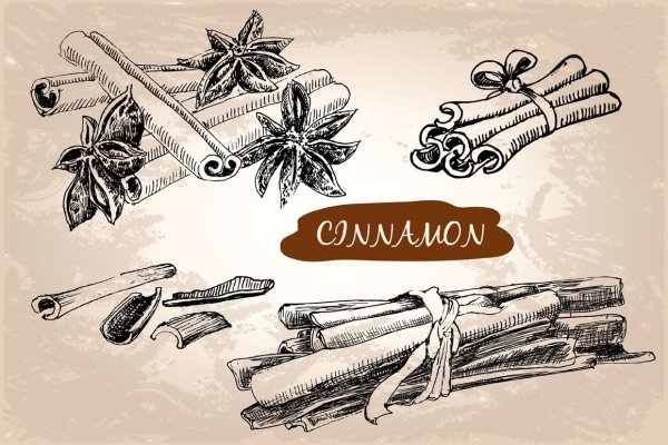 Бадьян апельсин акварель