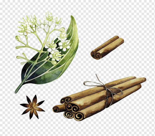 Корица акварель