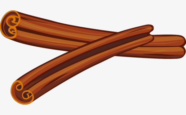 Бадьян звездчатый вектор