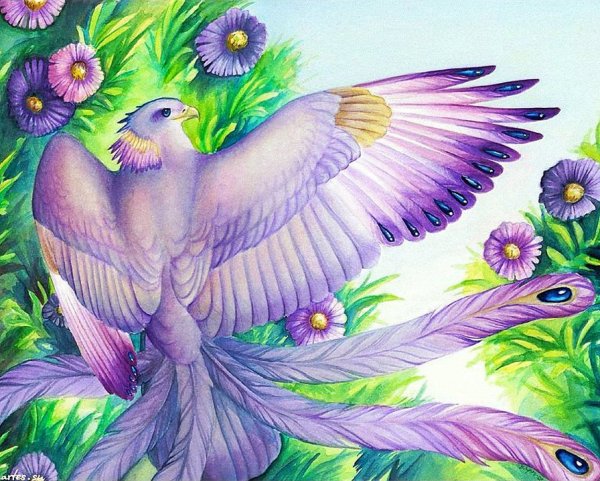 Сказочная птица Графика