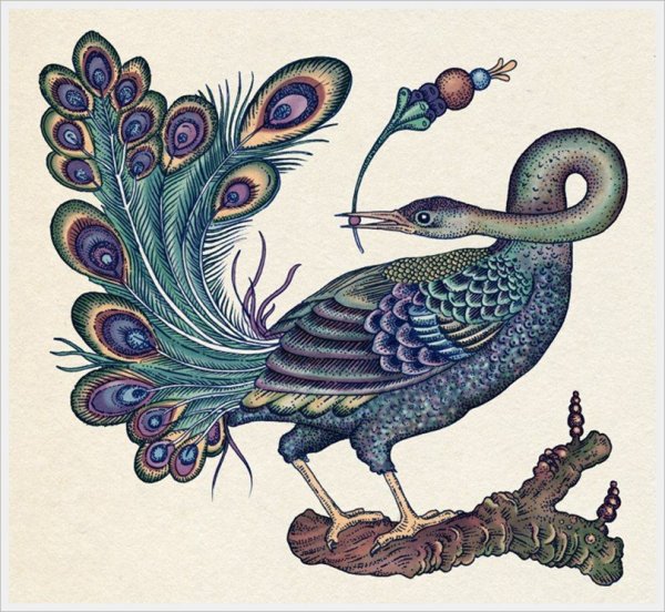 Рисование Волшебная птица