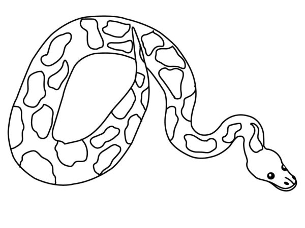 Питон арт карандашом