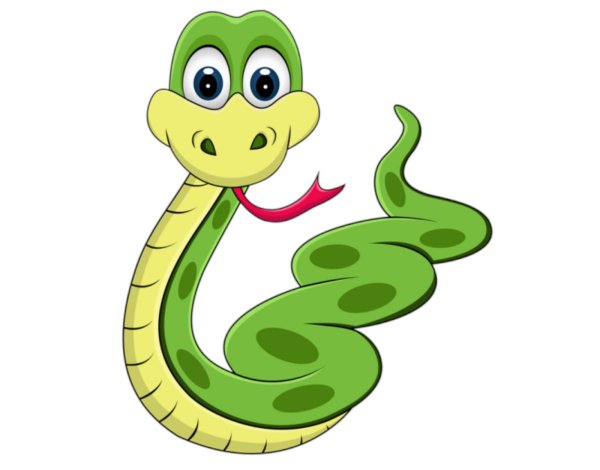 Черепашья Графика в Python фигуры