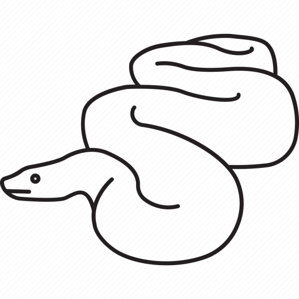 Удав рисунок