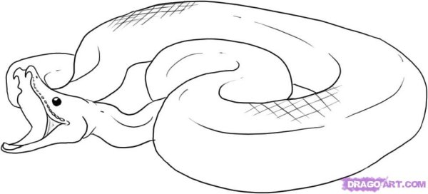 Раскраски змей