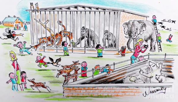 Рисование животных в зоопарке